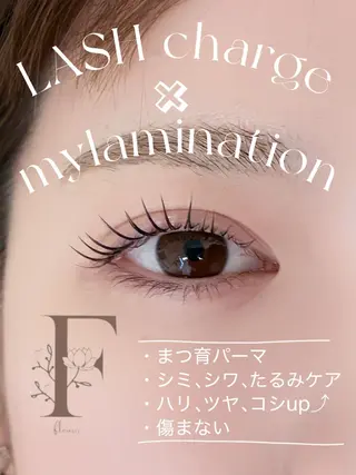 マツエク・マツパ seika FL'EBISUのマツエク・マツパデザイン
