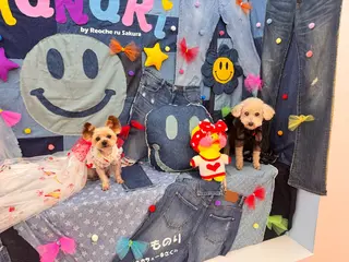 ネイル U eのネイルデザイン