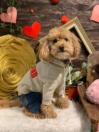pipi ..のネイルデザイン