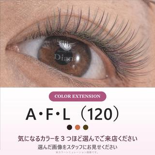 マツエク・マツパ ディアナ ひたちなか高場店仲田のマツエク・マツパデザイン