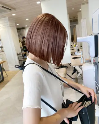 ショート カラー ブロンド/ミックス カラー三毛猫Kaiのヘアスタイル