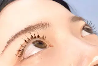 マツエク・マツパ Blossom Beauty aoiのマツエク・マツパデザイン