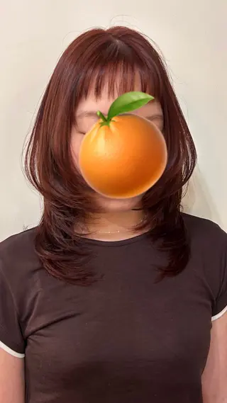 ミディアム ✂韓国レイヤー 🦋みやび🪽のヘアスタイル