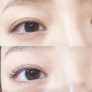 マツエク・マツパ lucil🎀堤 マツパ・マツエク・眉のマツエク・マツパデザイン