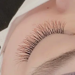 マツエク・マツパ Luxe白楽🌹店長 Seikeのマツエク・マツパデザイン