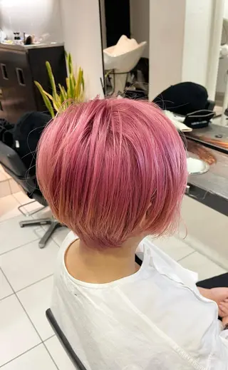 ショート カラー 秋葉 一郎のヘアスタイル