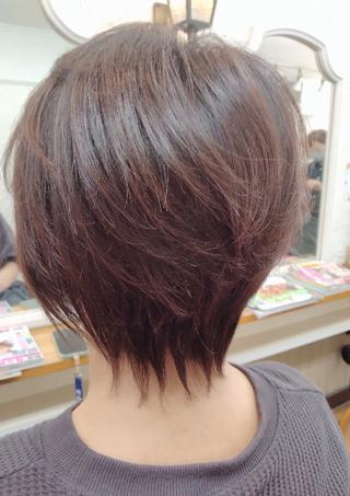 ショート 森長 咲子のヘアスタイル