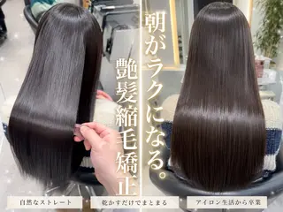 ロング レイヤー縮毛矯正 カラー/虎白のヘアスタイル