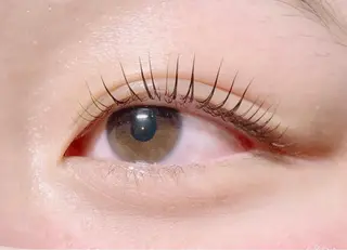 マツエク・マツパ ANELA【アネラ】 本多の眉毛・アイブロウイメージ