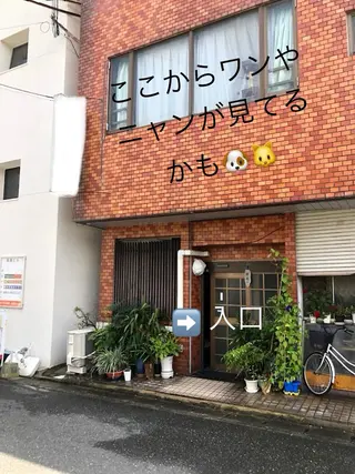 ネイル nail room Rayのネイルデザイン