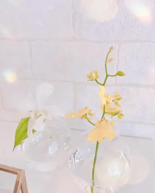 kokorobi ＊のマツエク・マツパデザイン