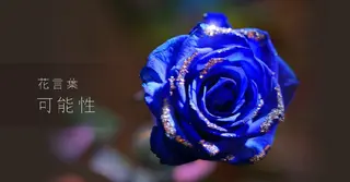 ✨Esthetic✨ Salon✨BRI✨のエステ・リラクイメージ