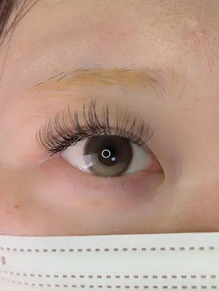 マツエク・マツパ EYELASH lino 合志市のマツエク・マツパデザイン
