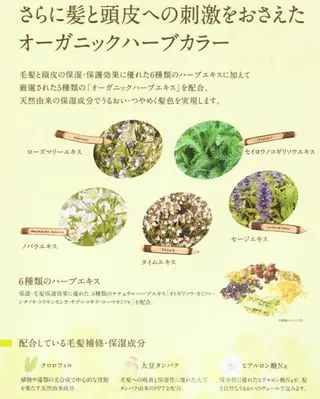 反橋 聖のヘアスタイル