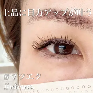 マツエク・マツパ nicott. mayukaのマツエク・マツパデザイン
