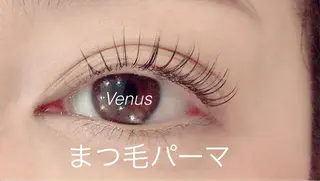 マツエク・マツパ eyelash catwinkのマツエク・マツパデザイン