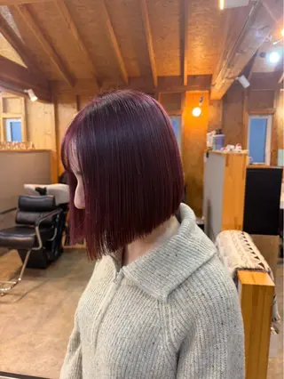 カラー 🌻ボブカット モデル募集中🪽のヘアスタイル