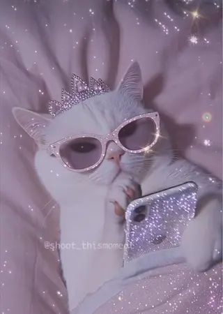 マツエク・マツパ 🎀eyelist. mizuki🐈‍⬛のマツエク・マツパデザイン