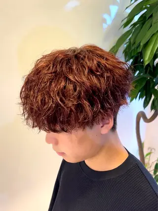 カラー パーマ メンズ 就職👔/初カラー 歓迎👨/ホシトのヘアスタイル