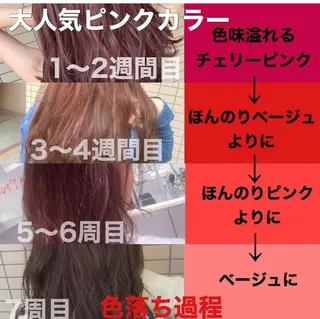 カラー ブリーチなしで 全国から予約殺到♡のヘアスタイル