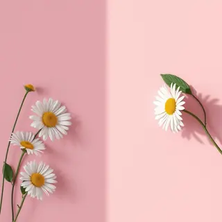 EBRIS🌿 HINATA(浦和)のマツエク・マツパデザイン