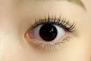 マツエク・マツパ 🔰Eye Risの眉毛・アイブロウイメージ