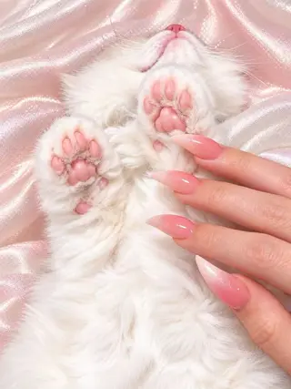 ネイル WO MIAO💎のネイルデザイン