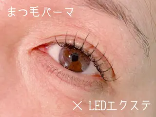 マツエク・マツパ eyelash catwinkのマツエク・マツパデザイン