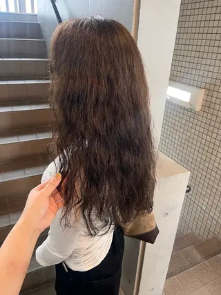 カラー koikiナチュラル オリーブカラー🦙のヘアスタイル