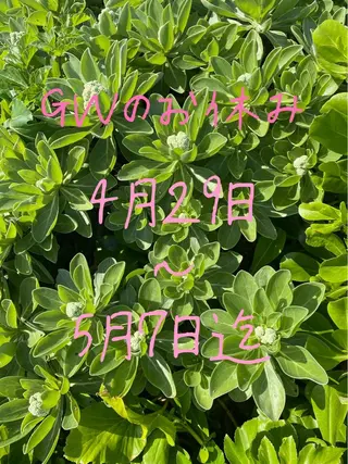 ネイル LUNE NAILのその他イメージ