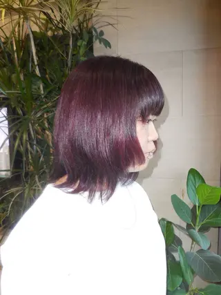 カラー luca˖ ࣪⊹/ レイヤー/艶カラーのヘアスタイル