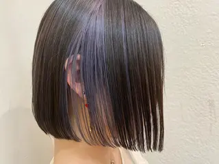 カラー ブロンド/ミックス カラー三毛猫Kaiのヘアスタイル