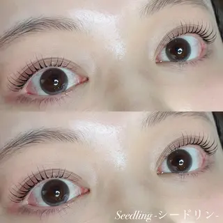 マツエク・マツパ シードリン 府内店 小野梨央のマツエク・マツパデザイン