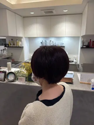 ショート はしもとひより/ブリ ーチ矯正/艶カラーのヘアスタイル