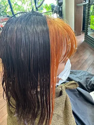 セミロング カラー 新田 甲のヘアスタイル