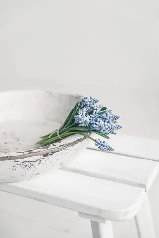 EBRIS🌿 HINATA(浦和)のマツエク・マツパデザイン