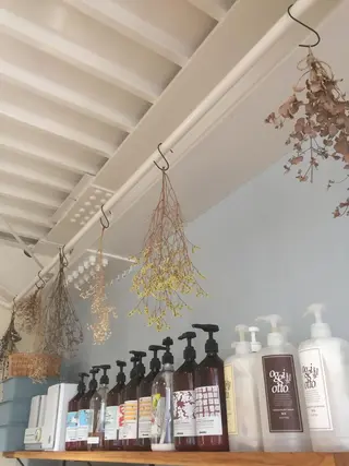 瀬田 幸代のヘアスタイル