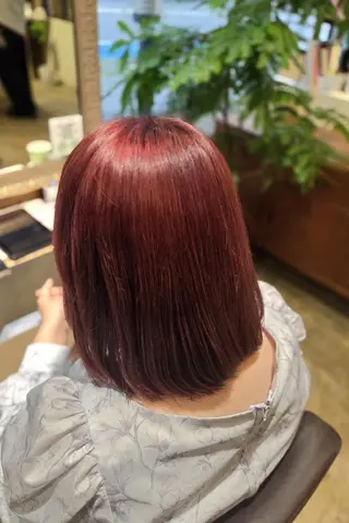 ショート さやか/暗髪カラー /透明感ワンカラーのヘアスタイル