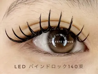 マツエク・マツパ 🧸Celeste Venusのマツエク・マツパデザイン