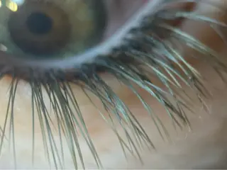 マツエク・マツパ mzh ...のネイルデザイン