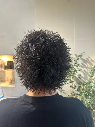 パーマ メンズ 加納 孝也のヘアスタイル