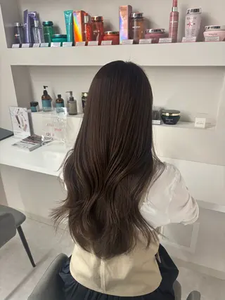 カラー モリシタ チョウのヘアスタイル