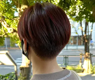 ショート カラー ショート・ウルフ✂︎ 安住有咲子のヘアスタイル