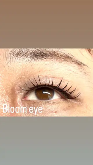 マツエク・マツパ Bloom eye 豊中 北緑丘の眉毛・アイブロウイメージ