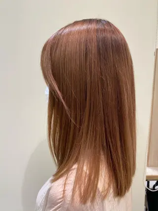 ブロンド/ミックス カラー三毛猫Kaiのヘアスタイル
