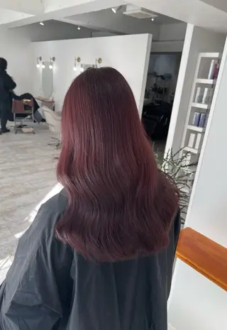 セミロング カラー 指名数No.1 /NAOYAのヘアスタイル