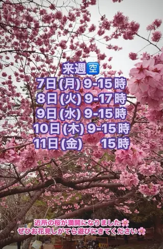 清水 由希のエステ・リラクイメージ