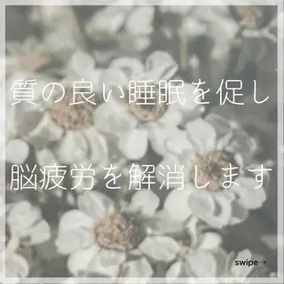 髪/まつげ/眉/毛穴 ハーブ/他/AIKOのヘアスタイル
