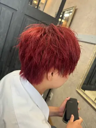 ショート カラー 青柳 若奈のヘアスタイル