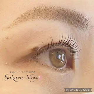 マツエク・マツパ Sarah 渡邊のマツエク・マツパデザイン